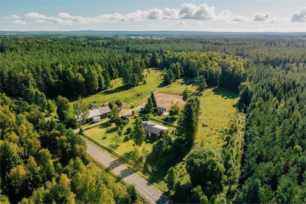 The Swedish Secret: Why Imogen Farm to Face Is Beauty's Best-Kept Nordic Obsession