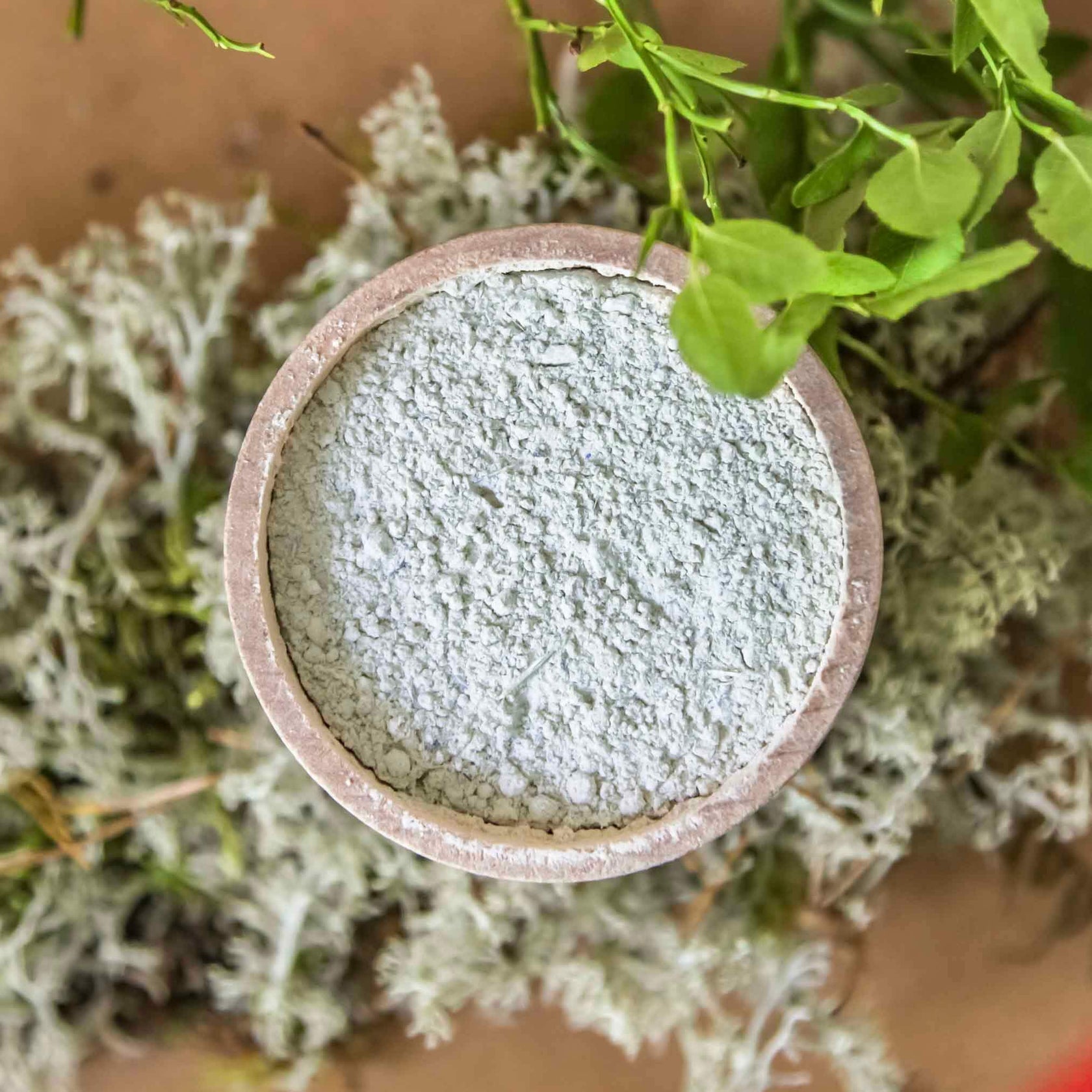 RECALM Probiotic Herbal Face Mask