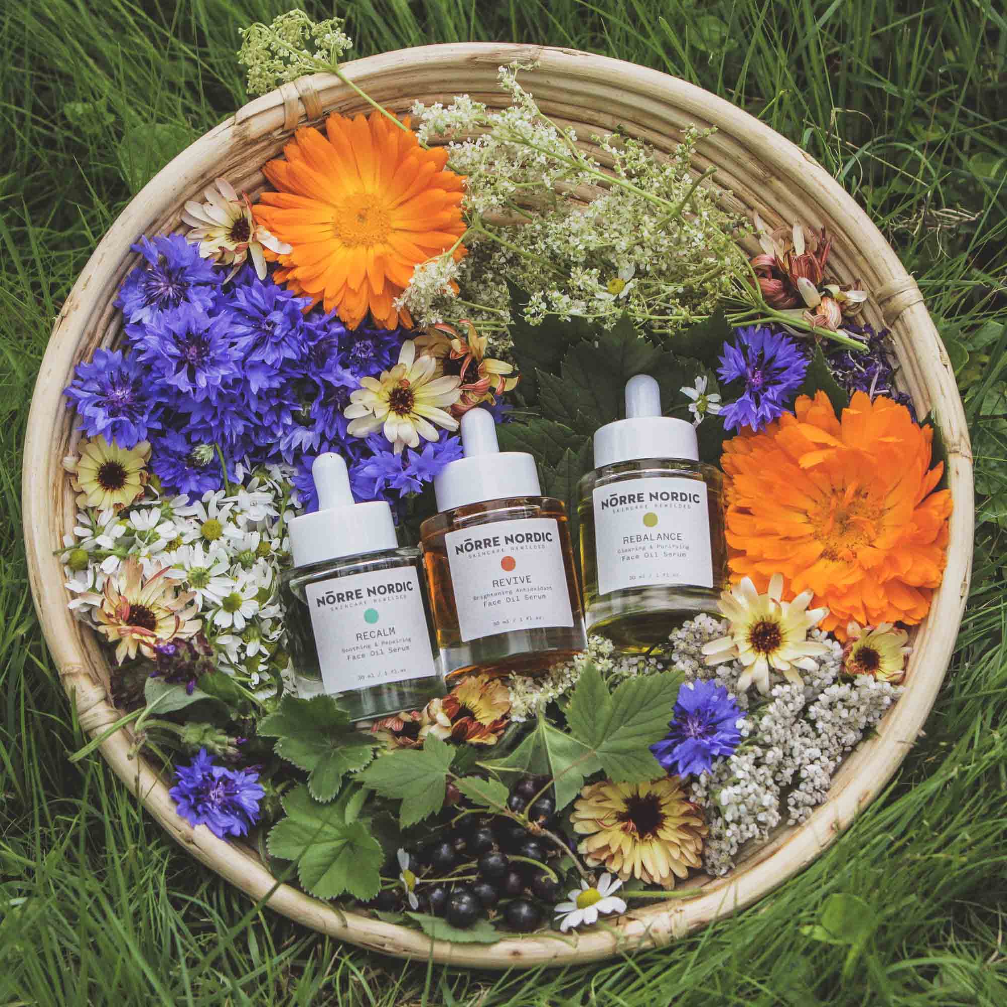 Why Norre Nordic's 100% Natural and Vegan Skincare is Essential for Your Beauty Routine